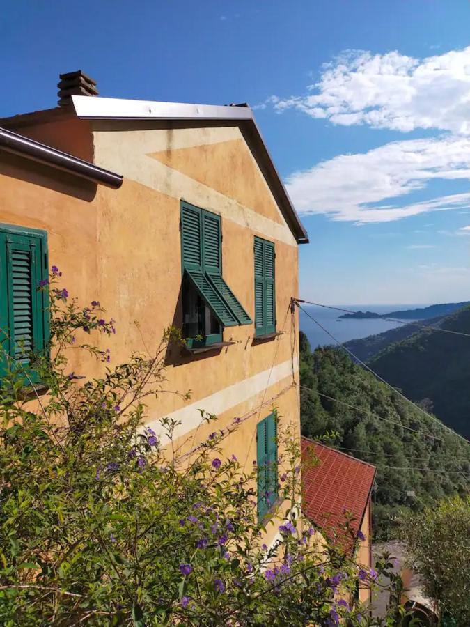Cottage Con Vista Mare 쪼알리 외부 사진